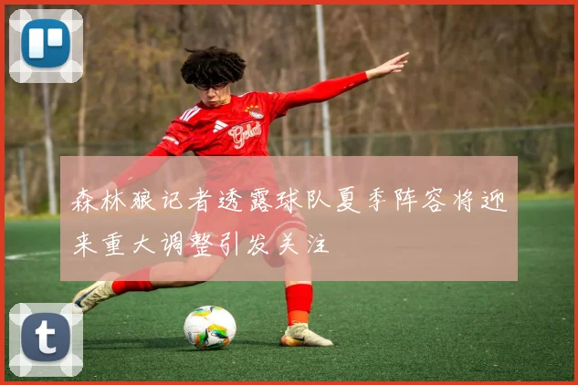 森林狼记者透露球队夏季阵容将迎来重大调整引发关注